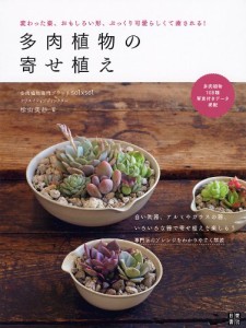 多肉植物の寄せ植え(中古品)