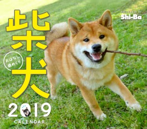 2019カレンダー 柴犬おはなし週めくり ([カレンダー])(中古品)