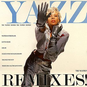 Wanted (Remixes%ｶﾝﾏ% 1989) / Vinyl record [Vinyl-LP](中古品)