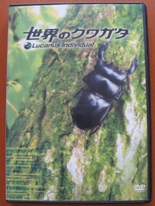 世界のクワガタ [DVD](中古品)