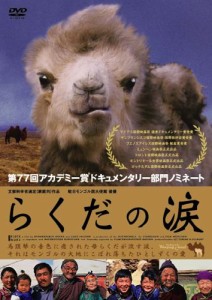 らくだの涙 [DVD](中古品)