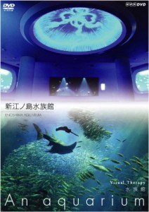 NHKDVD 水族館~An Aquarium~ 新江ノ島水族館(中古品)
