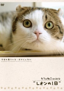 カフェねこonDVD レオンの1日(中古品)