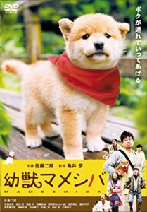 映画版 幼獣マメシバ [DVD](中古品)