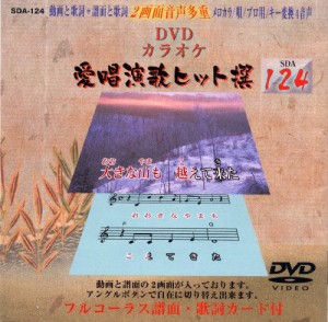 愛唱演歌ヒット撰124 [DVD](中古品)