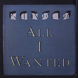 all i wanted 45 rpm single(中古品)