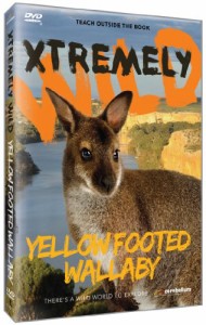 Yellow Footed Wallaby [DVD] [Import](中古品)