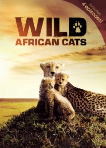 Wild African Cats [DVD] [Import](中古品)