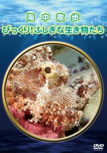 海中散歩~びっくり! ふしぎな生き物たち~ [DVD](中古品)