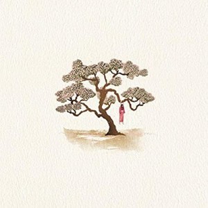 お嬢さん（アガシ） OST (韓国盤)ヒデコ・バージョン(中古品)