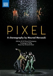 PIXEL ピクセル [DVD](中古品)