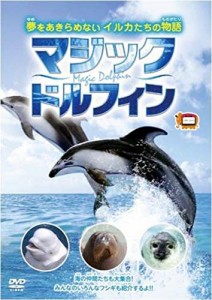 マジックドルフィン HPBR-45 [DVD](中古品)