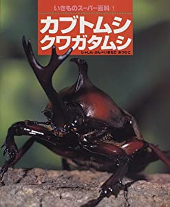 カブトムシ クワガタムシ (いきものスーパー百科)(中古品)