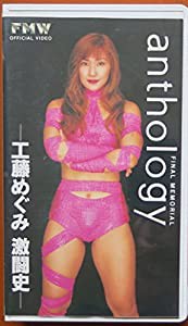 工藤めぐみアンソロジー〜プロレスラー・工藤めぐみ 激闘史〜 [VHS] [DVD](中古品)