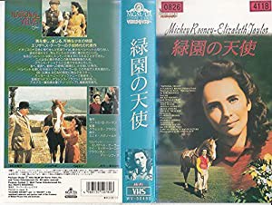 緑園の天使 [VHS](中古品)