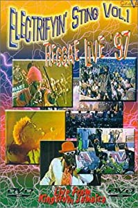 Electrifyin' Sting 1: Reggae Live '97 [DVD] [Import](中古品)