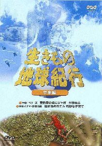 生きもの地球紀行 中米編 [DVD](中古品)