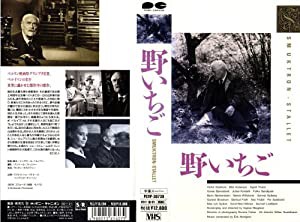 野いちご [VHS](中古品)