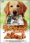 ワンダフル・ドッグ-ともだちはレトリバー- [DVD](中古品)