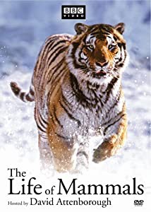 Life of Mammals 1-4 [DVD](中古品)