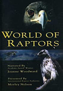 World of Raptors [DVD](中古品)