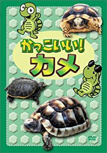 かっこいい!カメ [DVD](中古品)