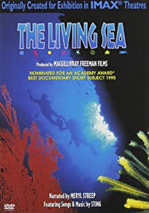 Imax: Living Sea [DVD](中古品)