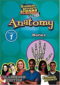 Standard Deviants: Anatomy Program 1 - Bones [DVD](中古品)