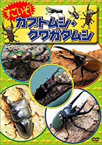 すごいぞ! カブトムシ・クワガタムシ [DVD](中古品)