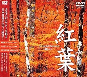 紅葉-もみじ- [DVD](中古品)