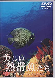 トロピカルフィッシュ VOL.1 美しい熱帯魚たち [DVD](中古品)