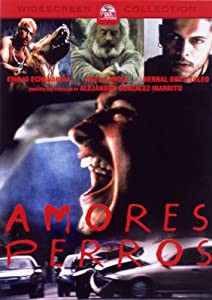 アモーレス・ペロス [DVD](中古品)