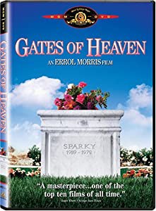 Gates of Heaven [DVD](中古品)