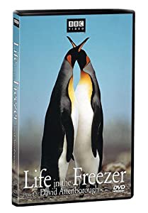 Life in the Freezer [DVD] [Import](中古品)