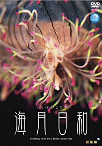 海月日和 図鑑編 [DVD](中古品)