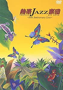 10th Anniversary Live [DVD](中古品)