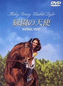 緑園の天使 [DVD](中古品)