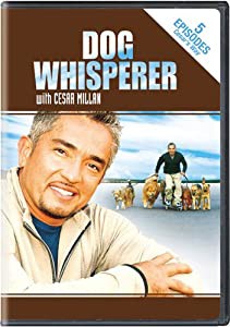 Dog Whisperer With Cesar Millan: Stories From [DVD](中古品)