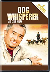 Dog Whisperer With Cesar Millan: Aggression [DVD](中古品)