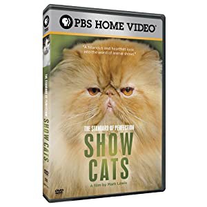 Standard of Perfection: Show Cats [DVD](中古品)