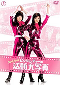 ピンク･レディーの活動大写真 [DVD](中古品)