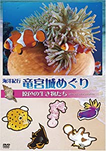 海洋紀行・竜宮城めぐり~VOL.2 原色の生き物たち [DVD](中古品)