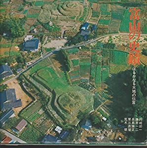 富山の史跡―はるかなる大地の伝言 (1978年) (富山文庫〈10〉)(中古品)