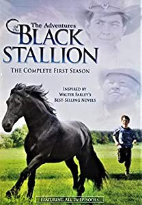 Adventures of Black Stallion: First Season [DVD](中古品)