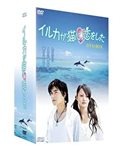 イルカが猫に恋をした DVD-BOX(中古品)