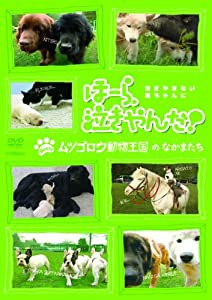 ほーら、泣きやんだ! meets ムツゴロウ動物王国のなかまたち [DVD](中古品)