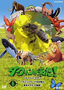 ダーウィンが来た!生き物新伝説 第6巻 [DVD](中古品)