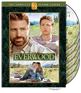 Everwood: Complete Second Season [DVD](中古品)