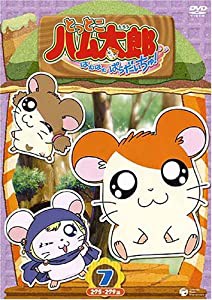 とっとこハム太郎（第4シリーズ） とっとこハム太郎 はむはむぱらだいちゅ!(7) [DVD](中古品)