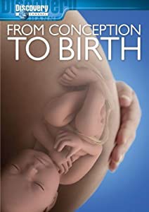 From Conception to Birth [DVD](中古品)